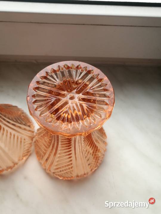 Wazoniki Ząbkowice różowe zachodniopomorskie Choszczno