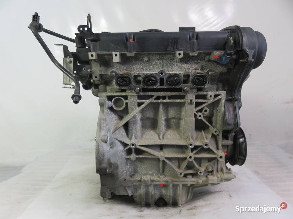 SILNIK FORD FIESTA MK6 VI 125 60 STJA sprzedam