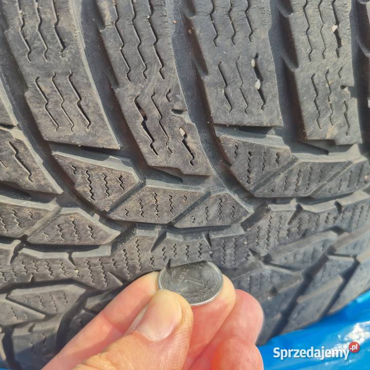 Opony Nokian WR D4 19545 R16 Płock