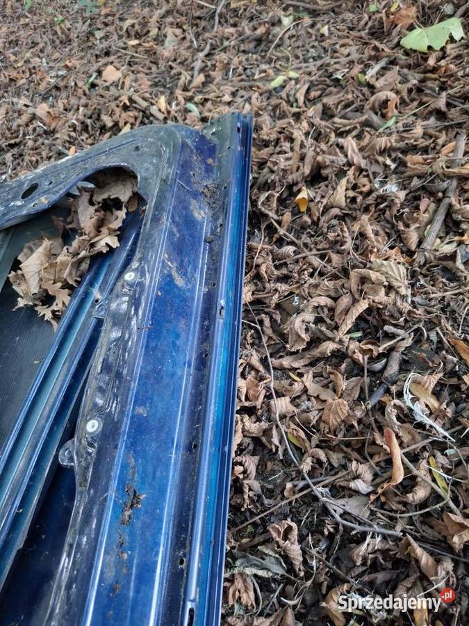 Drzwi lewy przód kierowcy Volkswagen Golf IV 4 Dąbrowa Tarnowska