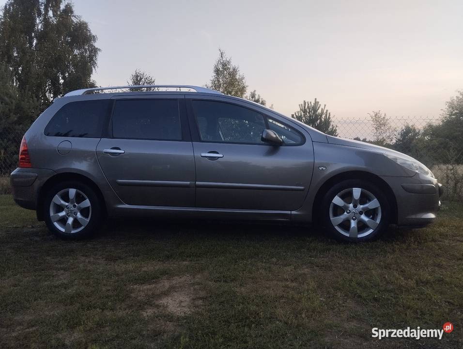 Peugeot 307 sw lakier metallic Płońsk sprzedam