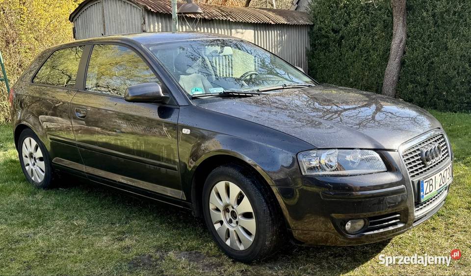 Audi A3 16 FSI 2006 Białogard
