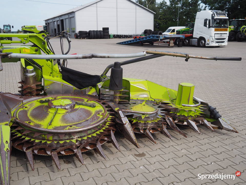 Claas Orbis 600 SD Przystawka do kukurydzy heder Stęszew