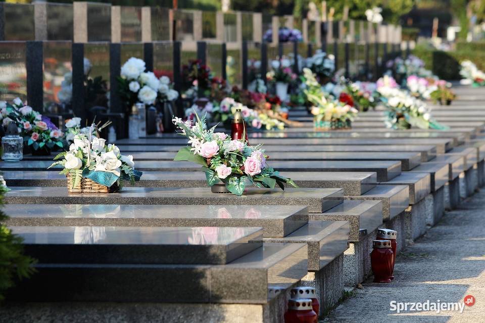 Osobowice grabiszyn Odnawianie renowacja dolnośląskie Wrocław usługi budowlane