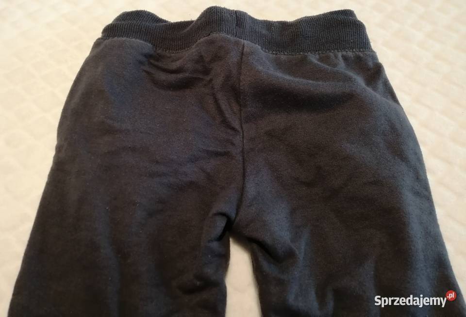 Spodnie dresowe szare 98 Takko Fashion Odzież Czeladź
