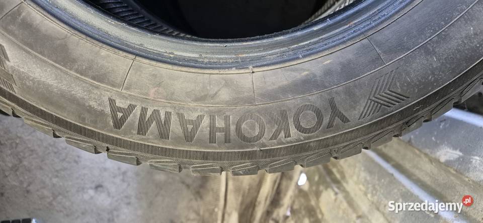 Opony zimowe Yokohama V905 1856015 Rybie