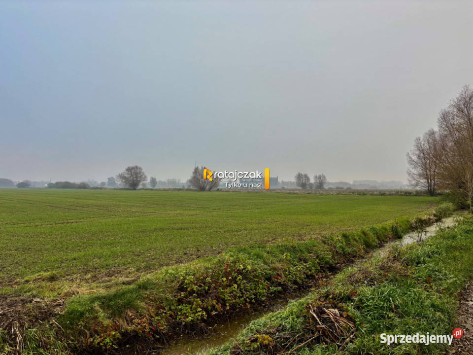 Grunt Drewnica Wierzbowa 3012m2 pomorskie