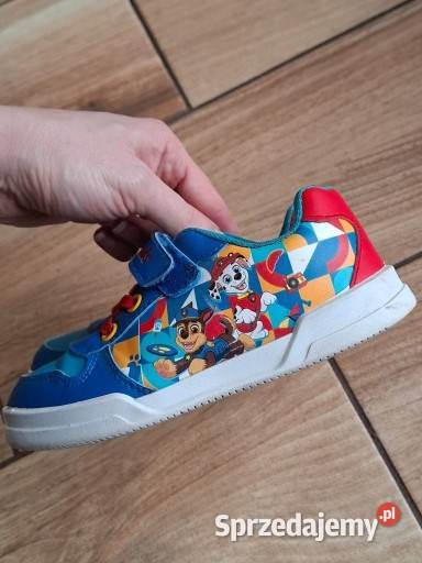 Adidasy chłopca Psi Patrol r 27 Wąbrzeźno