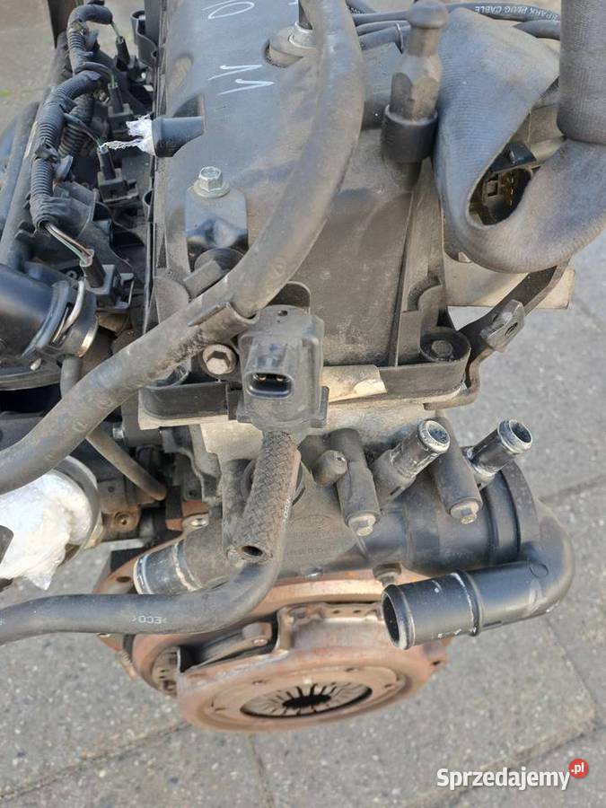 Ford Fiesta MK V VI 13 8v silnik kompletny kod osobowe Silniki kompletne Jastrzębie-Zdrój
