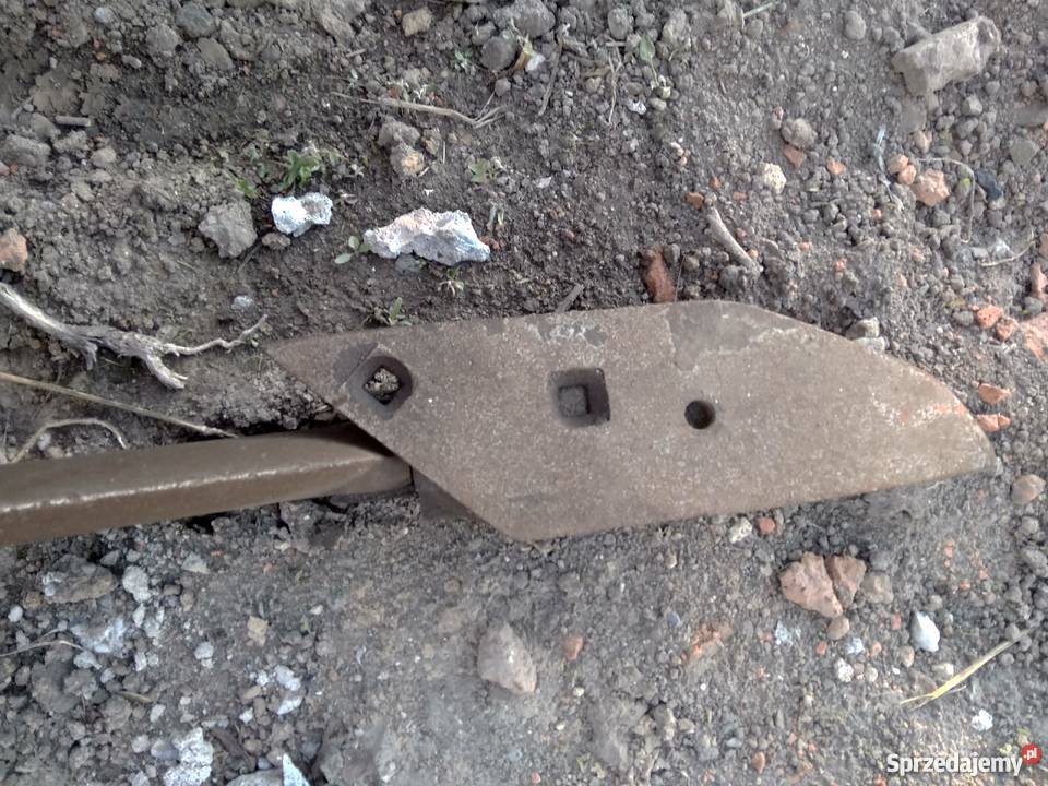 Głębosz Tłustomosty Sprzedajemy.pl