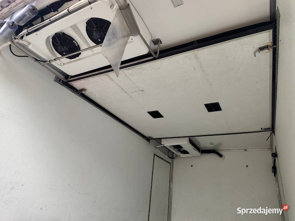 Fiat Ducato Maxi ChłodniaMroźnia 23 180 2019 Dwa świętokrzyskie Wodzisław sprzedam