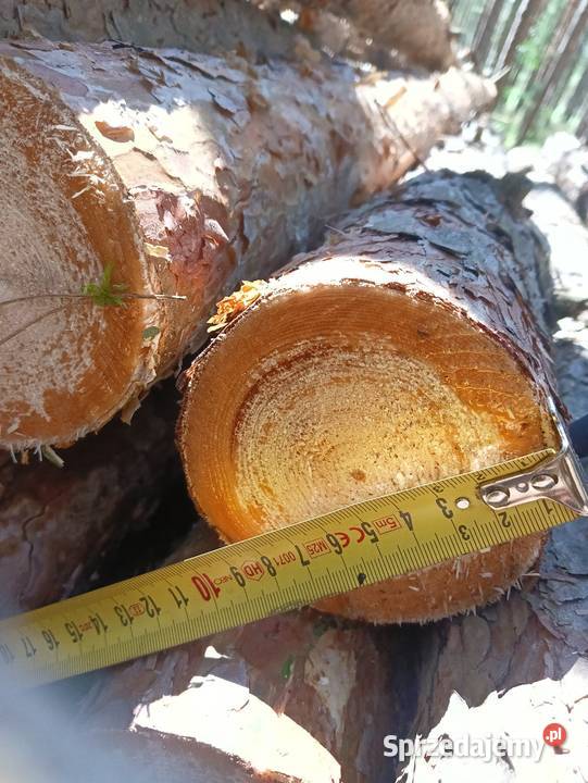 Słupki ogrodzeniowe stemple budowlane żerdzie Białachowo sprzedam