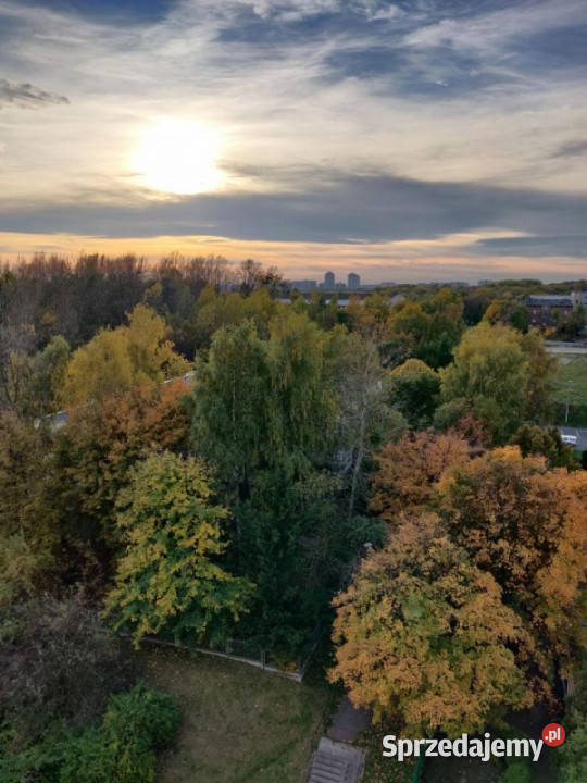 Mieszaknie z widokiem na Park Śląski