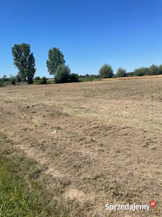 Działka 1 ha dojazd z dwóch stron trasie Sochaczew sprzedam