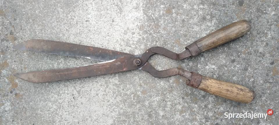 Zabytkowe przedwojenne nożyce do żywopłotu Koło sprzedam