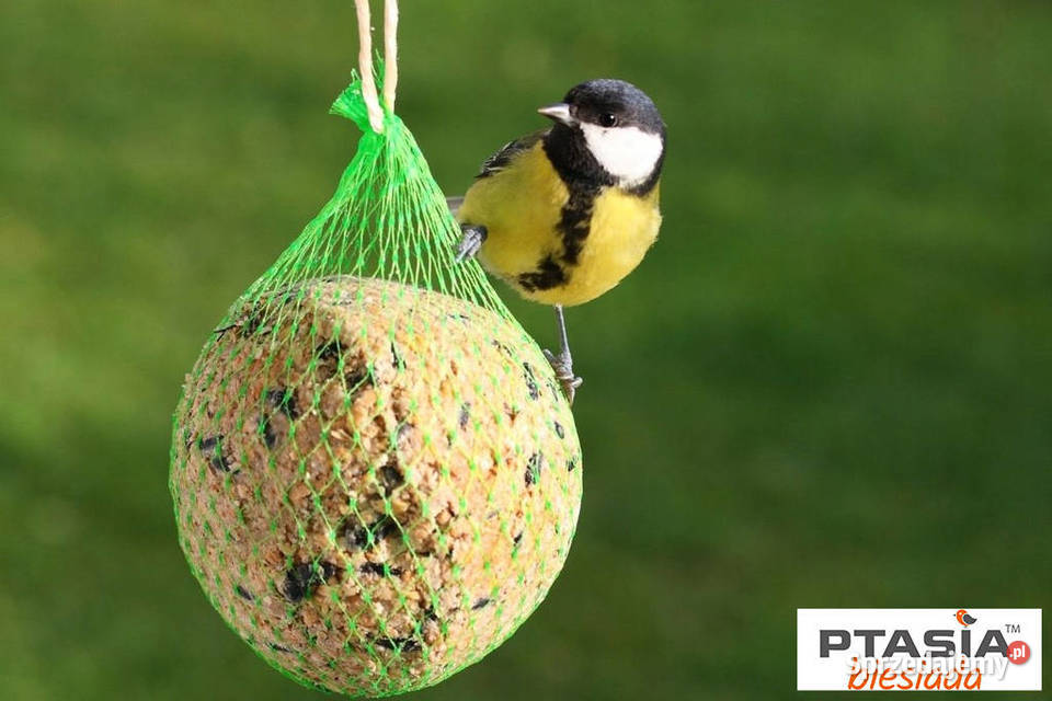 KARMA sikorek ptaków KULA tłuszczowa 90g 50 Dla ptaków Cieśle