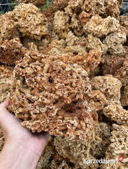 CZERWONY WAPIEŃ Kamień Skała do Akwarium Malawi Radom