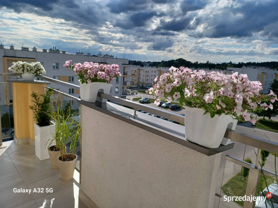 DUŻY APARTAMENT Z MOŻLIWOŚCIĄ ROZDZIELENIAHALA Mieszkania