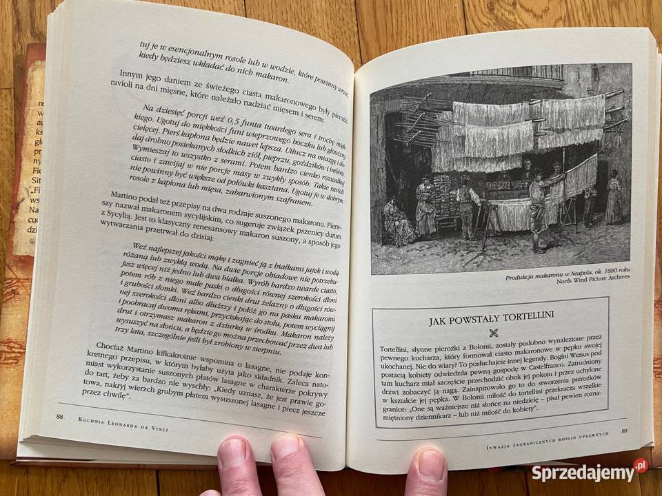 Dave DeVitt Kuchnia Leonarda Da Vinci Katowice