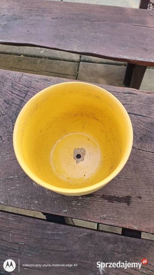 Donica mazowieckie Ciechanów