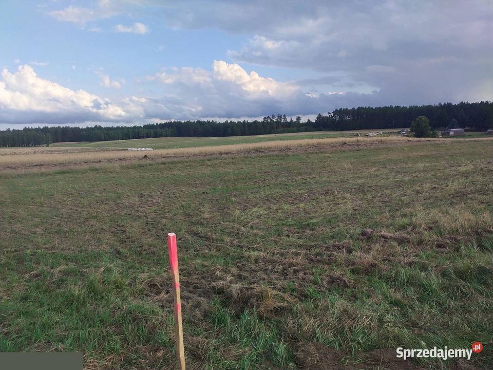 Duża działka 2700 m2 z Warunkami Zabudowy 37 m2