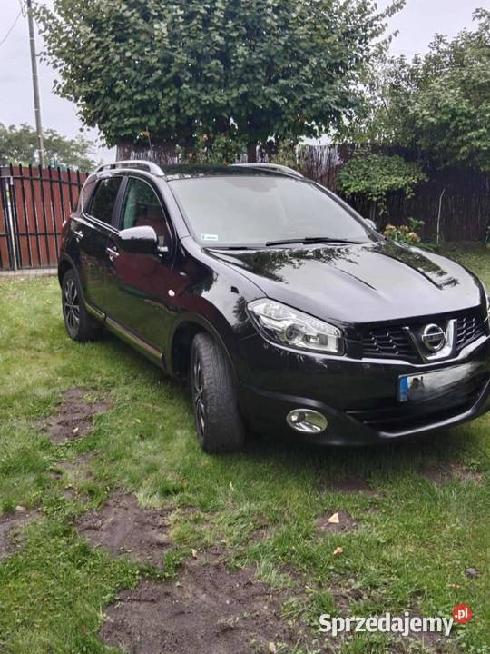 sprzedam qashqaia 16 116KM kujawsko-pomorskie Izbica Kujawska sprzedam