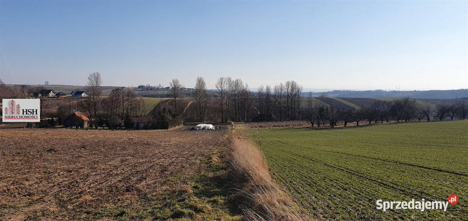 Działka na sprzedaż Michałowice 2450m2