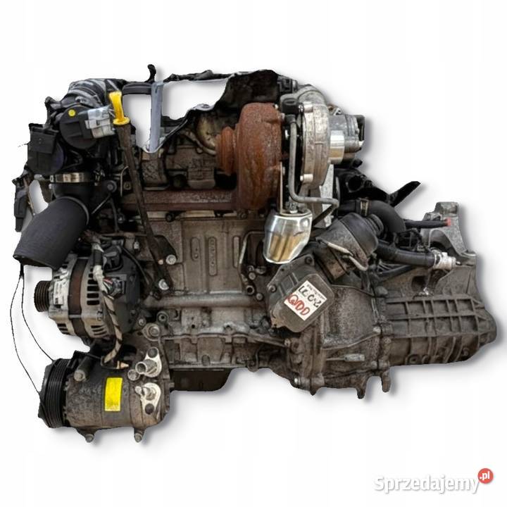SILNIK G8DB Ford Focus II MK2 C 16 TDCI 109 lubelskie Chełm