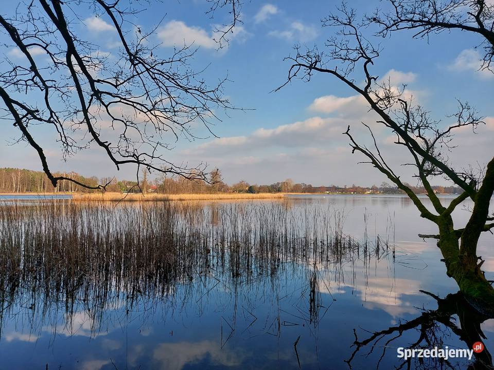 Piękna działka j Białe 300 m mazowieckie