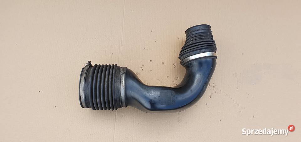 MAN TGA RURA FILTRA POWIETRZA 81082010491 Bieleń
