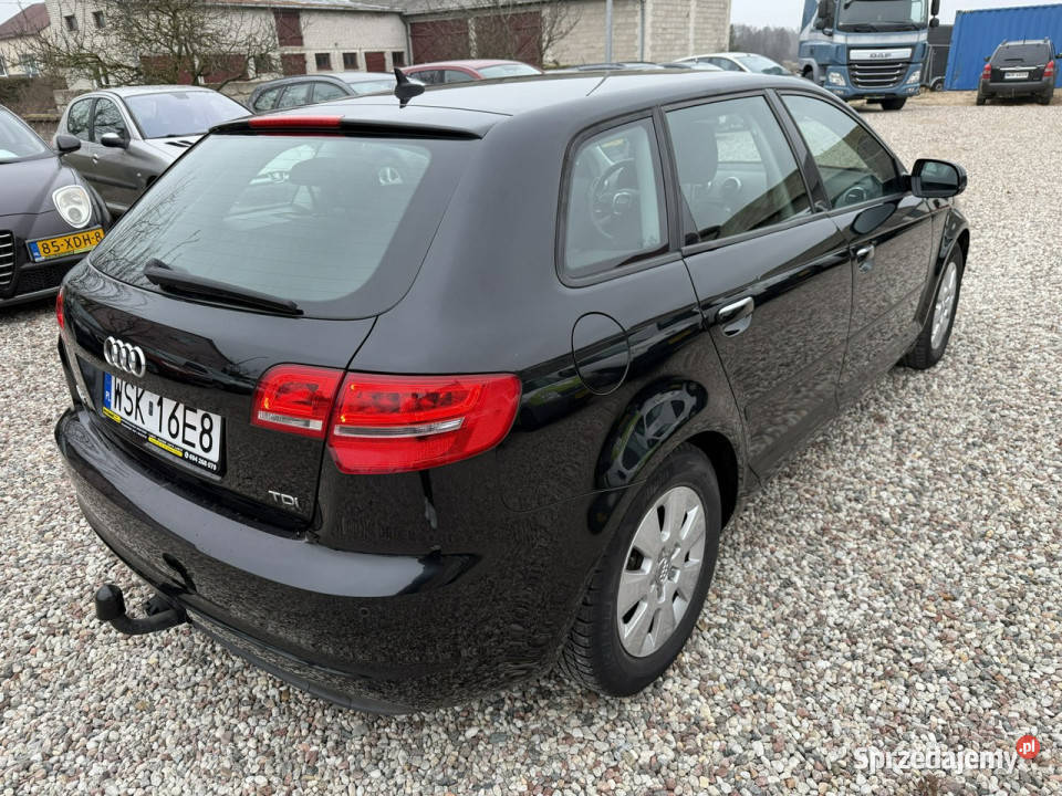 Audi A3 Sportback Audi A3 Lift 16Tdi 2012r Xenon Sokołów Podlaski