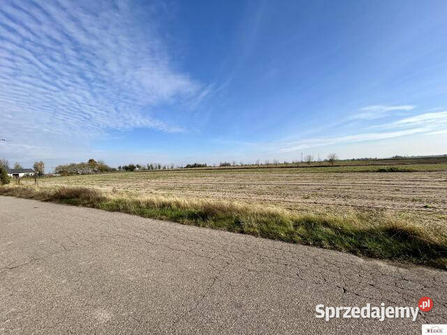 Działka Tończa 11600m2 mazowieckie sprzedam