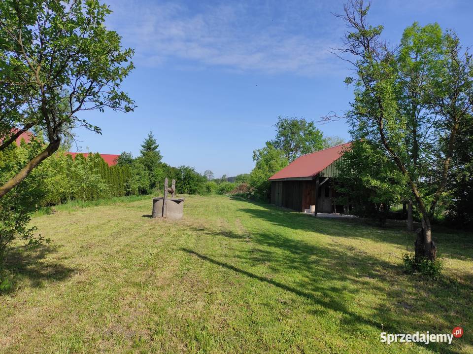 Sprzedam dom z nieruchomością rolną na Podlasiu 56m2 podlaskie Starowieś