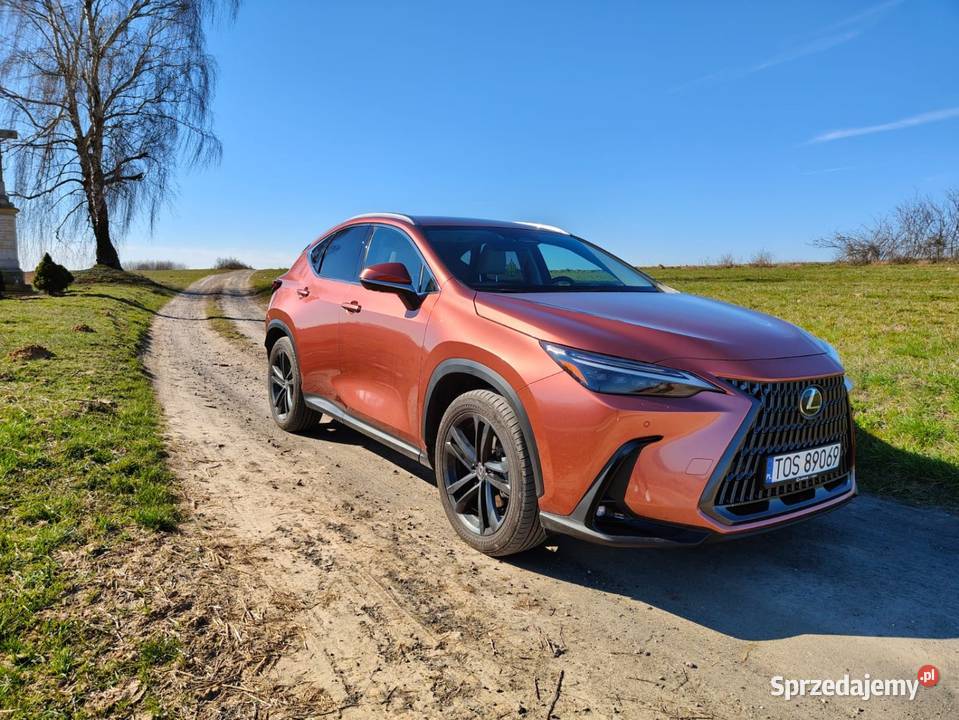 Lexus NX 350h AWD Prestige Design Premium świętokrzyskie Bukowie