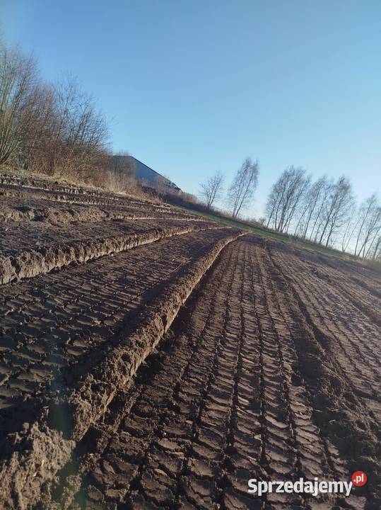 Mulczer leśny wgłębny powierzchniowy Karczowanie Będzin