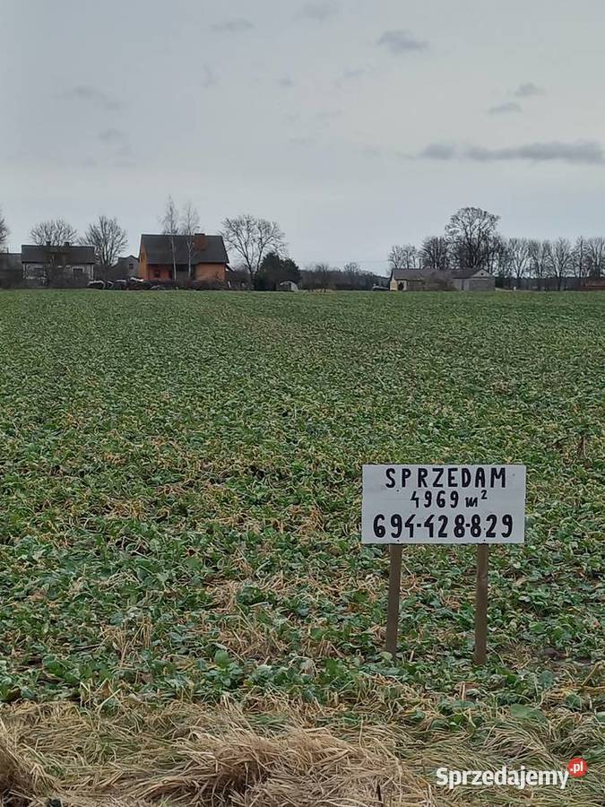 Działka budowlana 05 ha Olszewnica głównej