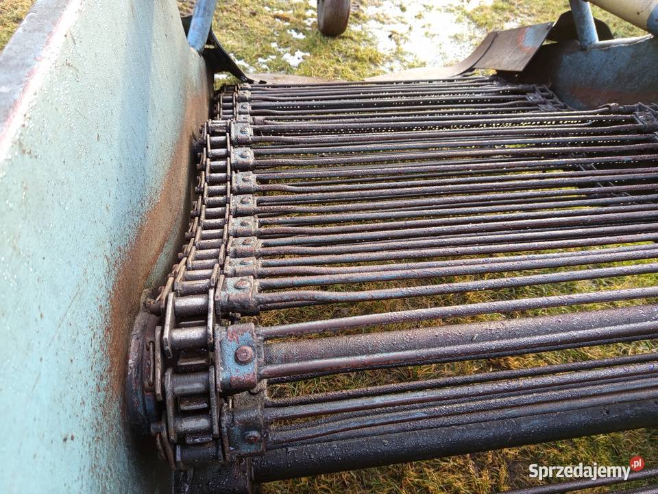 Kopaczka elewatorowa do ziemniaków chrzan cebula