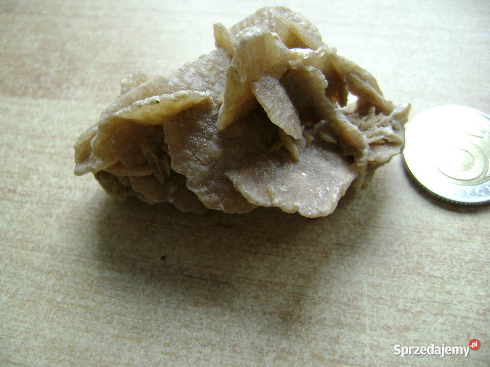 Starocie z PRL Minerały Róża Pustyni z Sahary Gdynia sprzedam