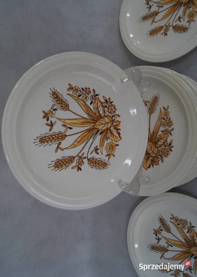 Rustykalny talerz obiadowy płytki pomorskie Chojnice