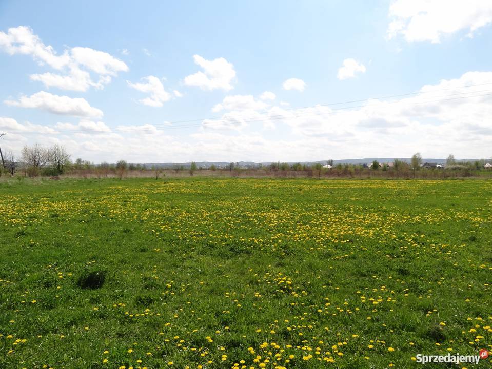 Rzeszów 14 arów wjazd Makuszyńskiego polna