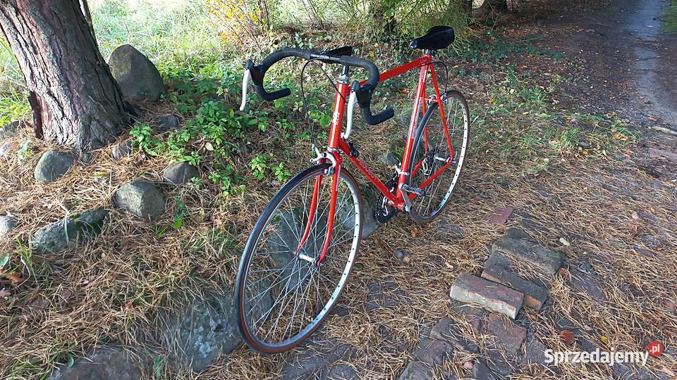 Rower Szosowy Peugeot Aubisque 12 Cad Szosa dolnośląskie Wołów