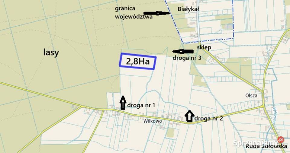 Działka rolna 28700mkw Wilkowo Dolina Baryczy sprzedam