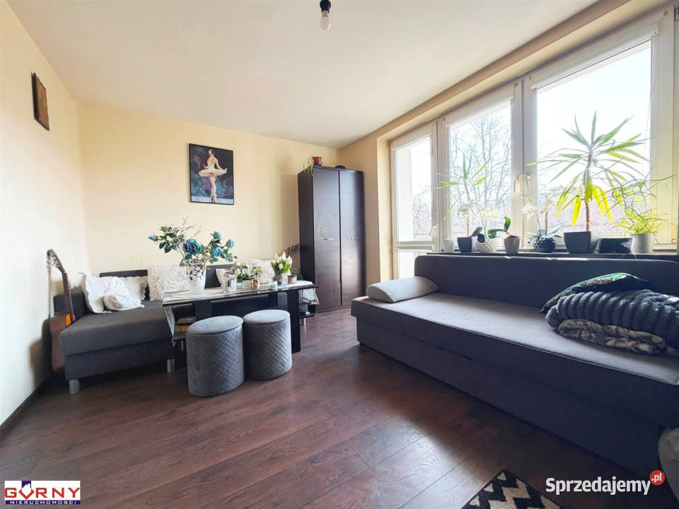 Mieszkanie 37m2 1pokojowe Piotrków Trybunalski cegła