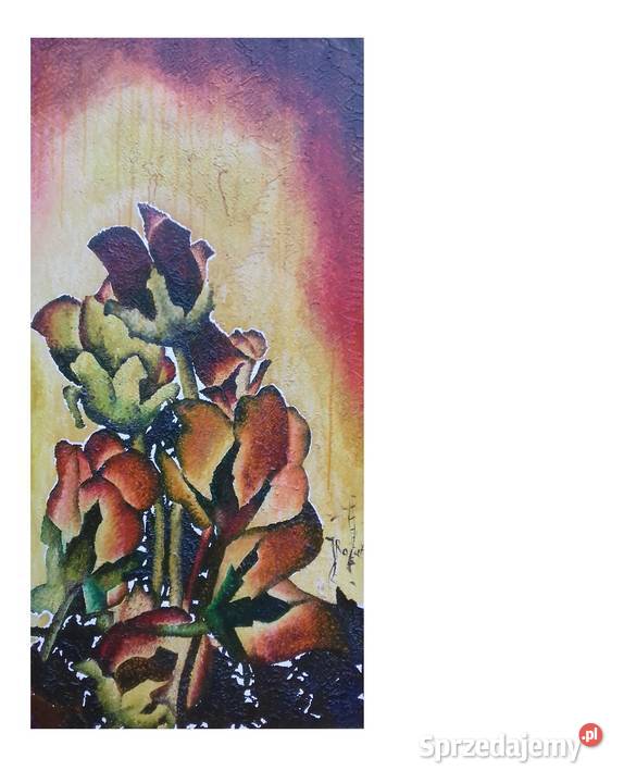 Archidiecezjalne Piwonie Malarstwo Jarosław