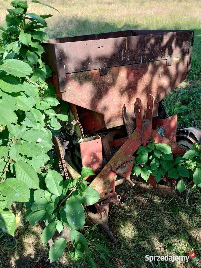 Sadzarka do ziemniaków Drożęcin-Lubiejewo