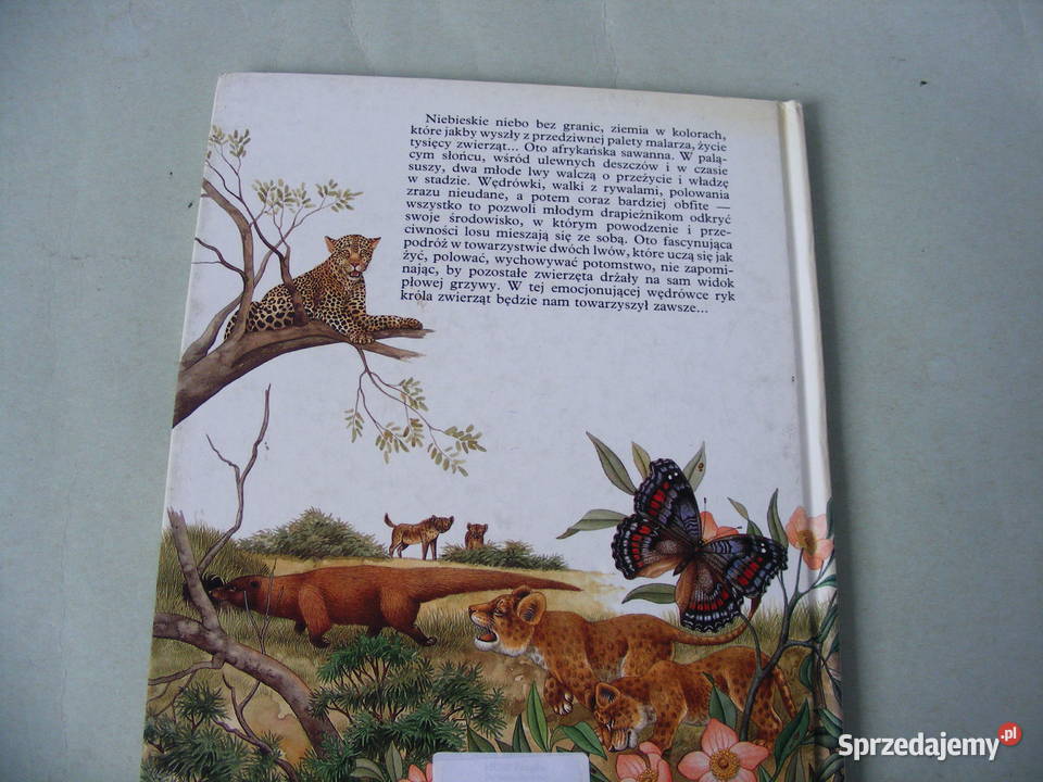 Atlas zwierząt z lwem Mój barwny atlas zwierząt Kultura i Rozrywka Oborniki Śląskie sprzedam