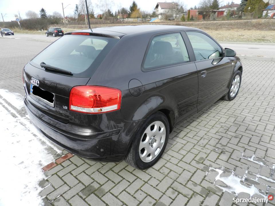 Audi A3 8P 16 Benzyna Xenon Skóra Pierwszy Świdnik