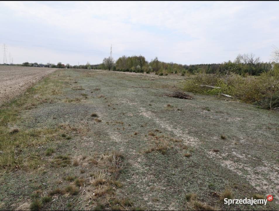 Działka budowlana 4900m2 Bartodzieje