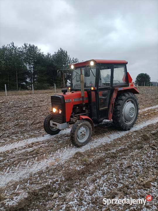 Massey Ferguson 255 Rawa Mazowiecka