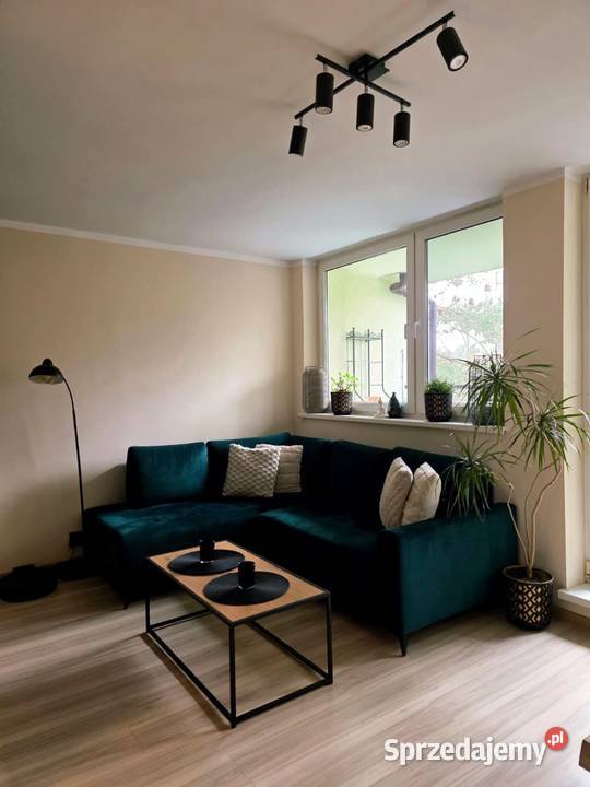 Kuźniki Sarbinowska I 2 pokoje I 4955 m I internet Wrocław